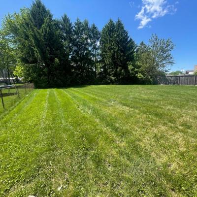 Huge Yard