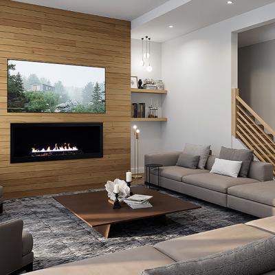 Th 8140 Schleppi Livingroom